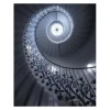 tulip stairs poster – massimo cuomo